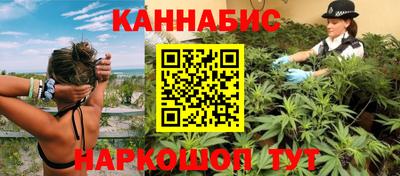 гашик Новокубанск